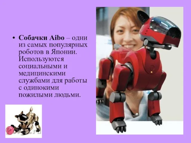 Собачки Aibo – одни из самых популярных роботов в Японии. Используются социальными