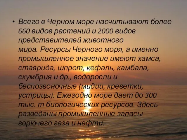 Всего в Черном море насчитывают более 660 видов растений и 2000 видов