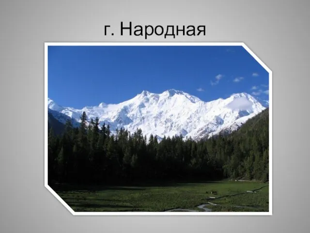 г. Народная