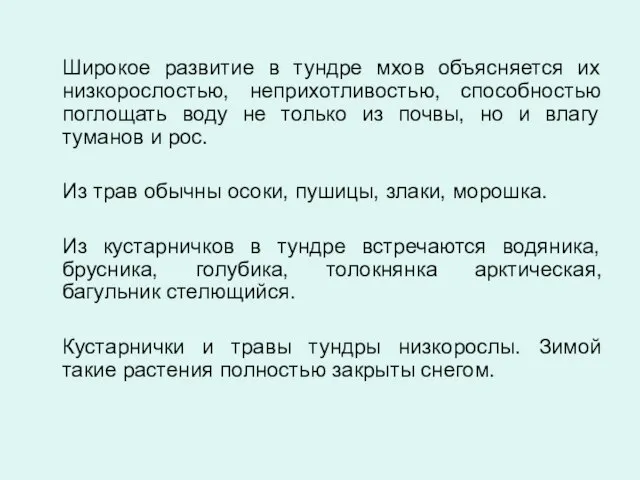 Широкое развитие в тундре мхов объясняется их низкорослостью, неприхотливостью, способностью поглощать воду