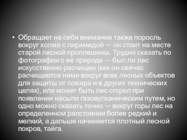 Обращает на себя внимание также поросль вокруг холма с пирамидой — он