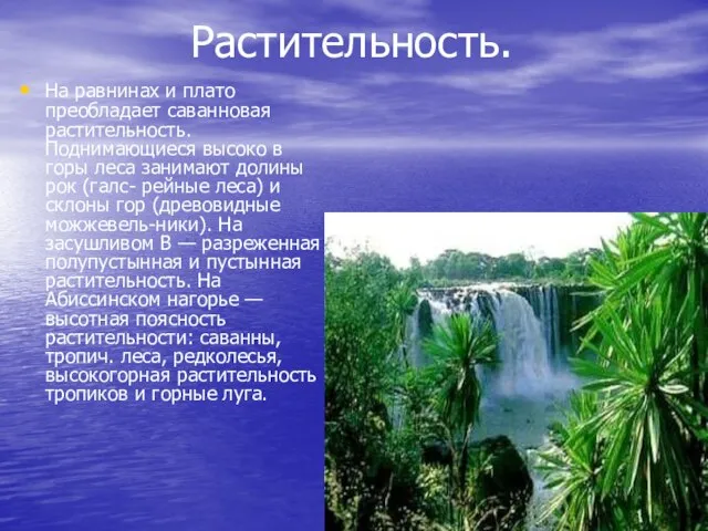 Растительность. На равнинах и плато преобладает саванновая растительность. Поднимающиеся высоко в горы