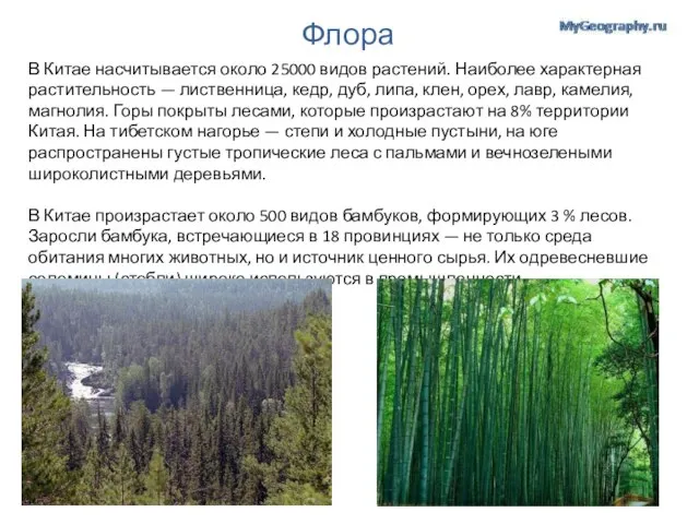 Флора В Китае насчитывается около 25000 видов растений. Наиболее характерная растительность —