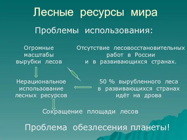 Лесные ресурсы мира Сокращение площади лесов Нерациональное использование лесных ресурсов 50 %