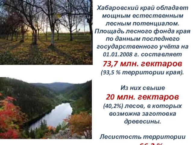 Хабаровский край обладает мощным естественным лесным потенциалом. Площадь лесного фонда края по