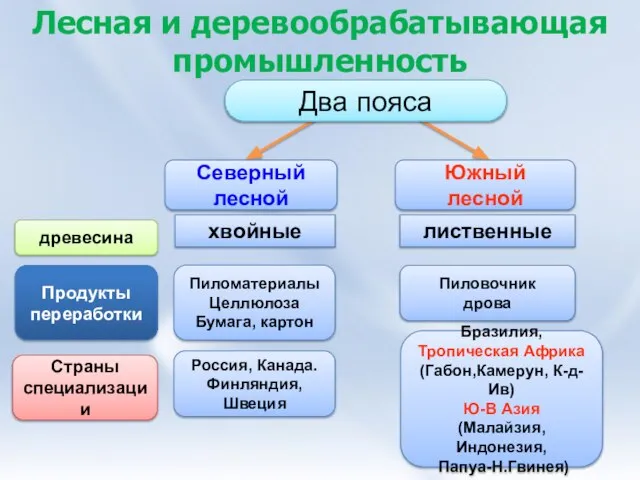 Северный лесной Южный лесной Бразилия, Тропическая Африка (Габон,Камерун, К-д-Ив) Ю-В Азия (Малайзия,