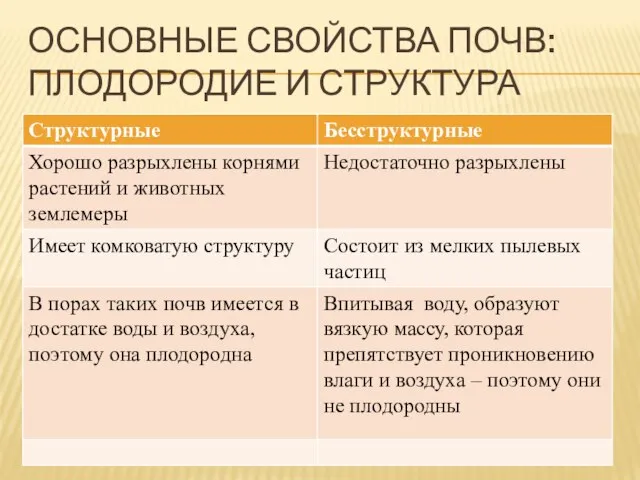 Основные свойства почв: плодородие и структура