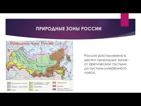 ПРИРОДНЫЕ ЗОНЫ РОССИИ Россия расположена в десяти природных зонах - от арктической