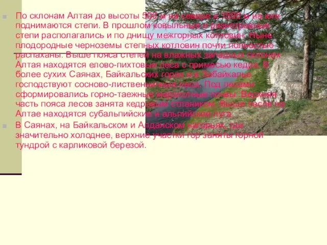 По склонам Алтая до высоты 500 м на севере и 1500 м