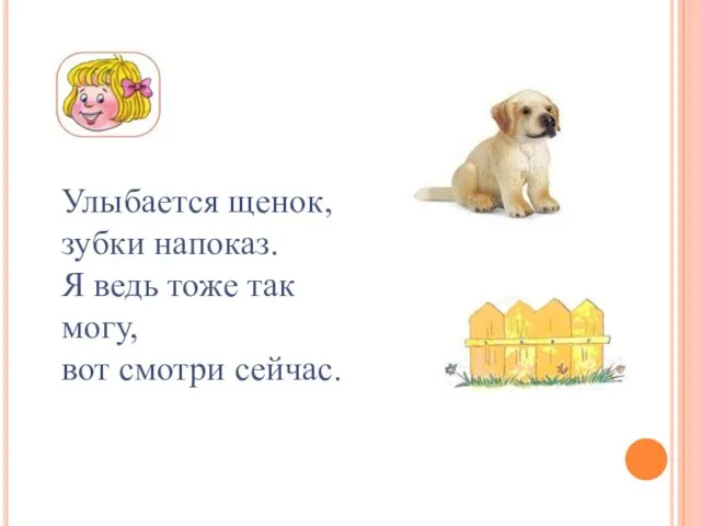 Улыбается щенок, зубки напоказ. Я ведь тоже так могу, вот смотри сейчас.