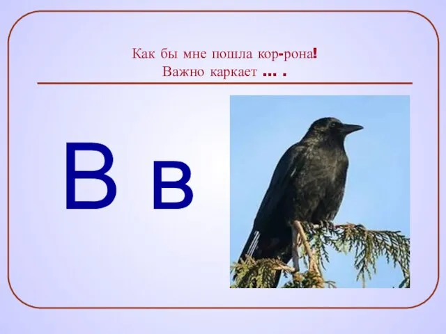 Как бы мне пошла кор-рона! Важно каркает … . В в