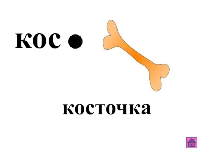 кос косточка