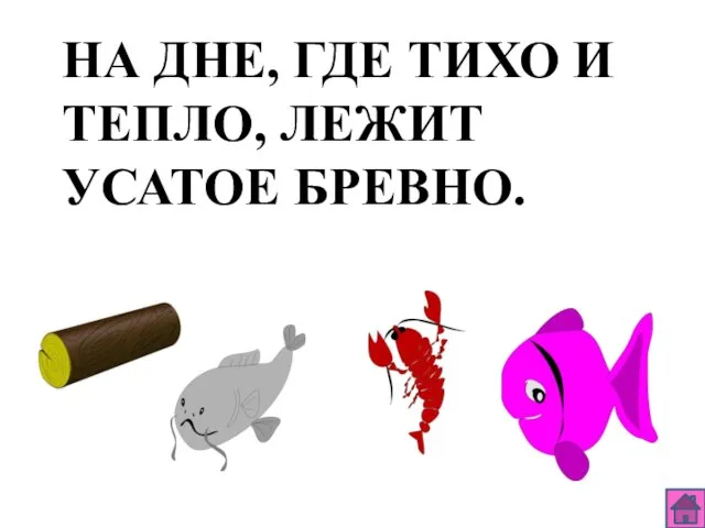 НА ДНЕ, ГДЕ ТИХО И ТЕПЛО, ЛЕЖИТ УСАТОЕ БРЕВНО.