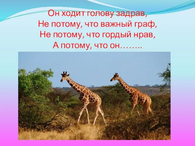 Он ходит голову задрав, Не потому, что важный граф, Не потому, что