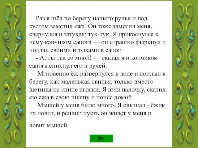 Раз я шёл по берегу нашего ручья и под кустом заметил ежа.