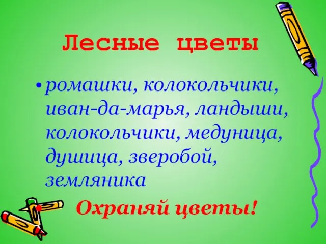 Лесные цветы ромашки, колокольчики, иван-да-марья, ландыши, колокольчики, медуница, душица, зверобой, земляника Охраняй цветы!