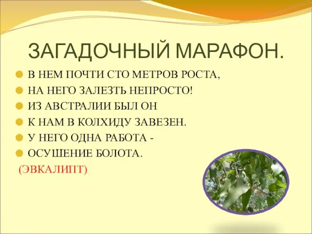 ЗАГАДОЧНЫЙ МАРАФОН. В НЕМ ПОЧТИ СТО МЕТРОВ РОСТА, НА НЕГО ЗАЛЕЗТЬ НЕПРОСТО!