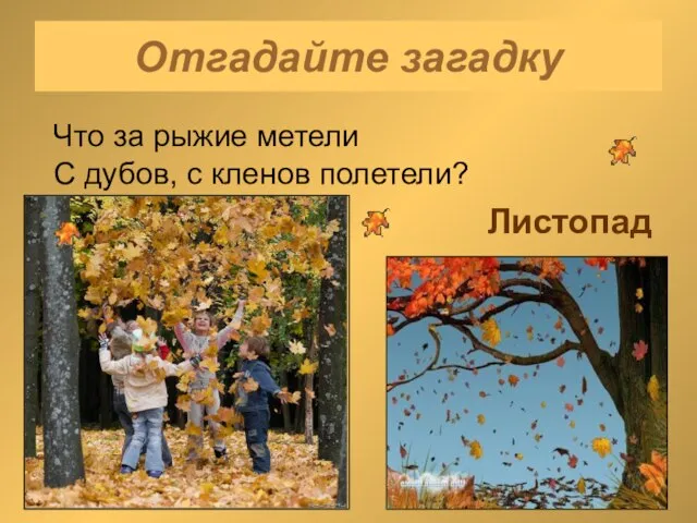 Отгадайте загадку Что за рыжие метели С дубов, с кленов полетели? Листопад