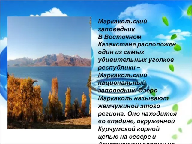 Маркакольский заповедник В Восточном Казахстане расположен один из самых удивительных уголков республики