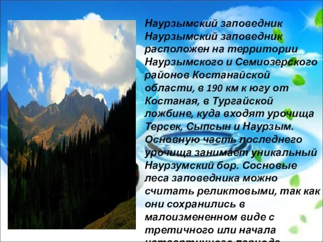 Наурзымский заповедник Наурзымский заповедник расположен на территории Наурзымского и Семиозерского районов Костанайской