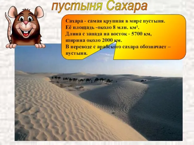 пустыня Сахара Сахара - самая крупная в мире пустыня. Её площадь -около