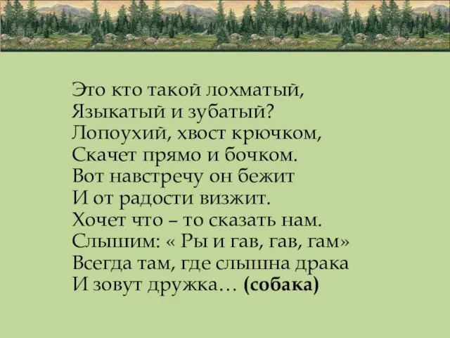 Это кто такой лохматый, Языкатый и зубатый? Лопоухий, хвост крючком, Скачет прямо