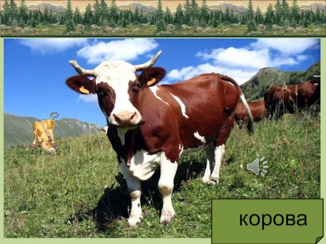 корова