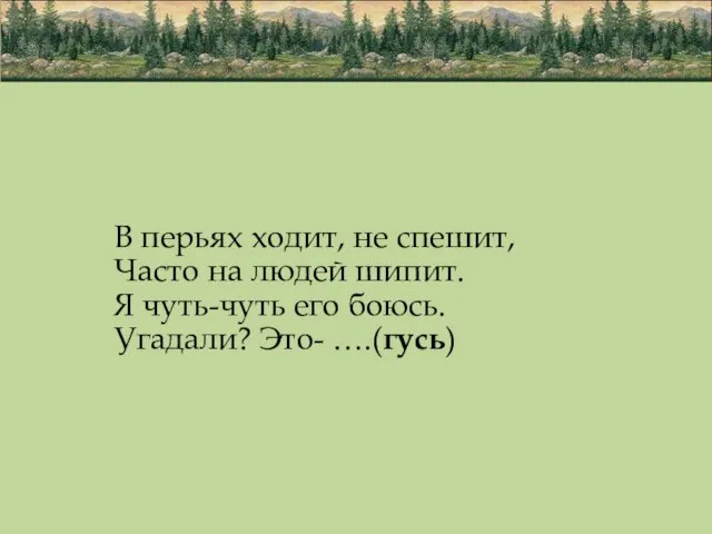 В перьях ходит, не спешит, Часто на людей шипит. Я чуть-чуть его боюсь. Угадали? Это- ….(гусь)