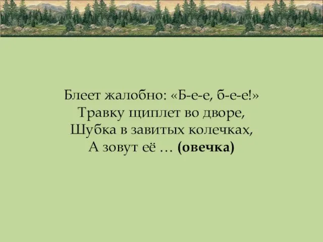 Блеет жалобно: «Б-е-е, б-е-е!» Травку щиплет во дворе, Шубка в завитых колечках,