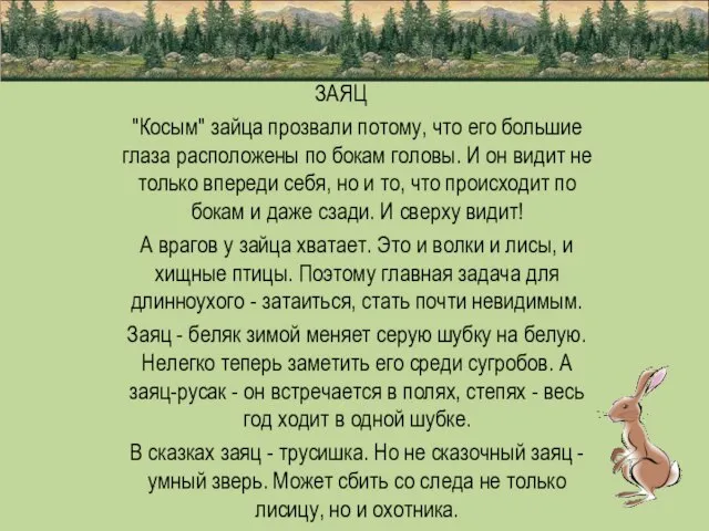 ЗАЯЦ "Косым" зайца прозвали потому, что его большие глаза расположены по бокам