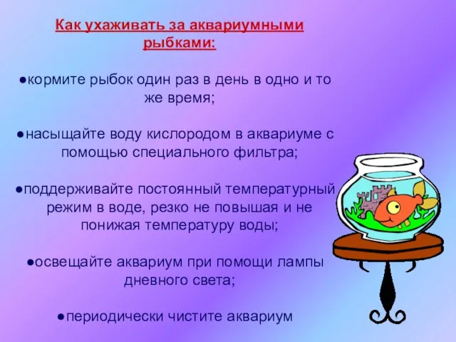 Как ухаживать за аквариумными рыбками: кормите рыбок один раз в день в