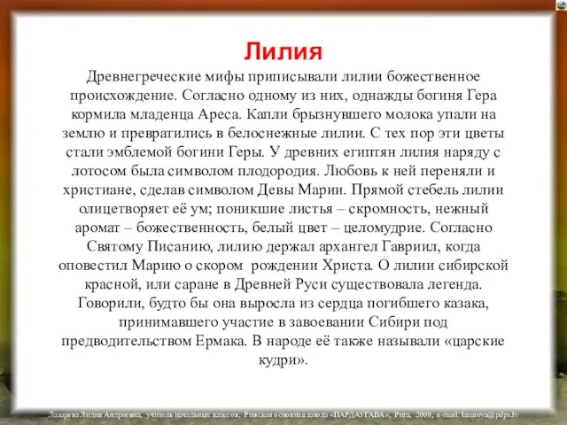 Лилия Древнегреческие мифы приписывали лилии божественное происхождение. Согласно одному из них, однажды