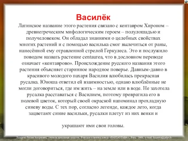 Василёк Латинское название этого растения связано с кентавром Хироном – древнегреческим мифологическим