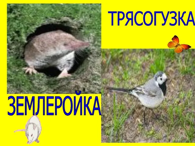 ЗЕМЛЕРОЙКА ТРЯСОГУЗКА