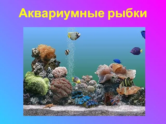 Аквариумные рыбки