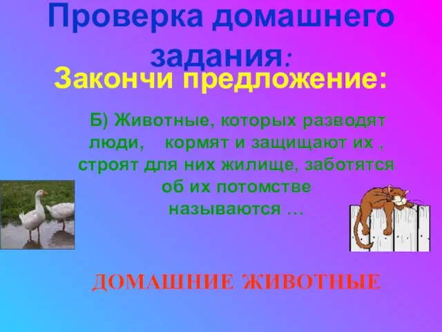 Проверка домашнего задания: Закончи предложение: Б) Животные, которых разводят люди, кормят и