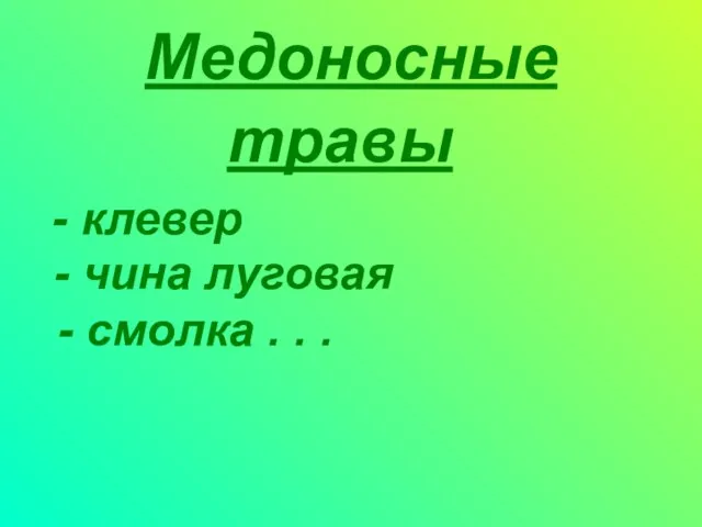 Медоносные травы - клевер - чина луговая - смолка . . .