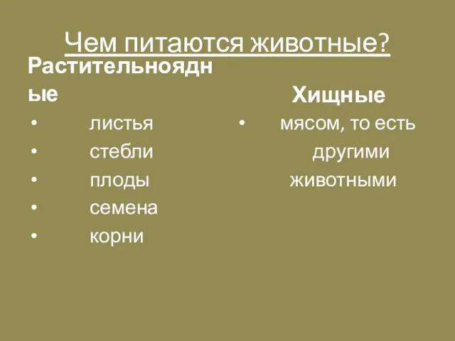 Чем питаются животные? Растительноядные листья стебли плоды семена корни Хищные мясом, то есть другими животными