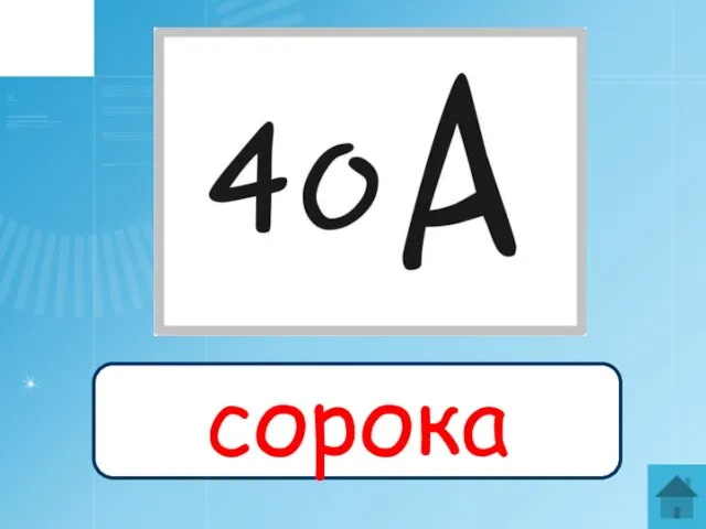 сорока