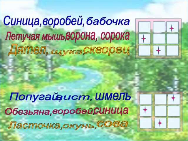 Синица,воробей, Летучая мышь, аист, синица бабочка ворона, сорока Дятел, щука, скворец Попугай,