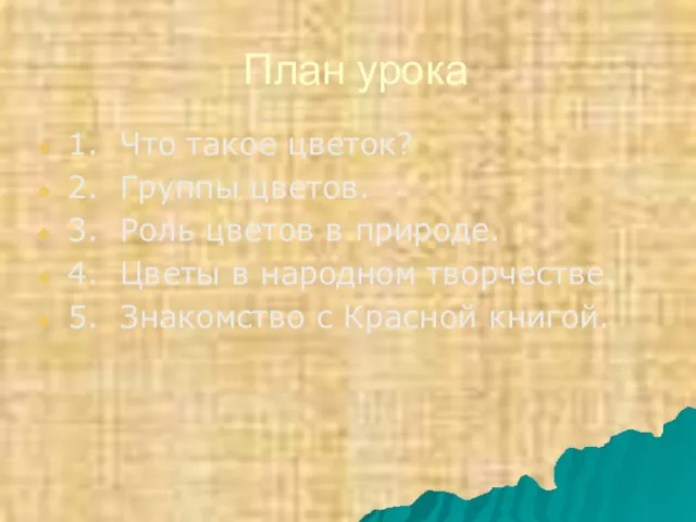 План урока 1. Что такое цветок? 2. Группы цветов. 3. Роль цветов