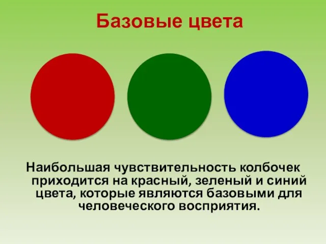 Базовые цвета Наибольшая чувствительность колбочек приходится на красный, зеленый и синий цвета,