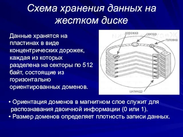 Схема хранения данных на жестком диске Данные хранятся на пластинах в виде