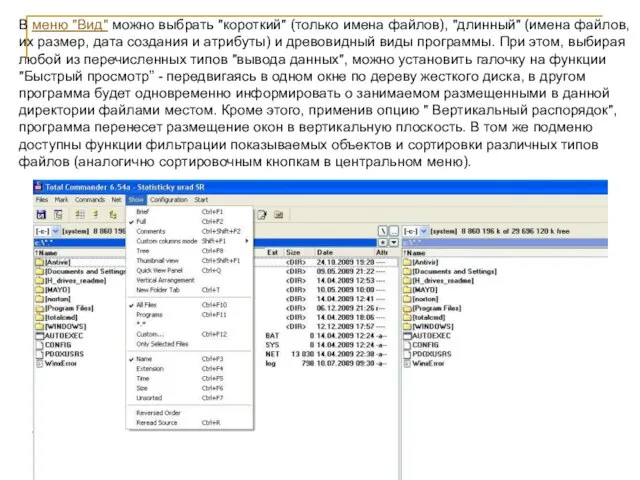 В меню "Вид" можно выбрать "короткий" (только имена файлов), "длинный" (имена файлов,