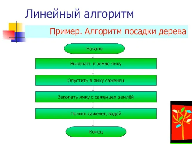 Линейный алгоритм Пример. Алгоритм посадки дерева