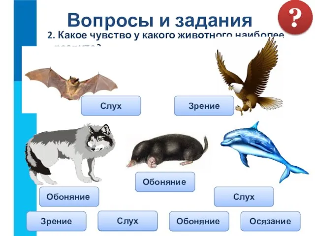 2. Какое чувство у какого животного наиболее развито? Вопросы и задания ?