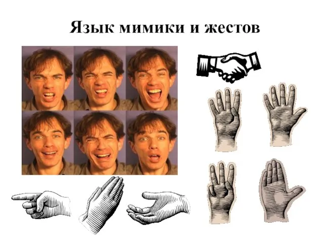 Язык мимики и жестов