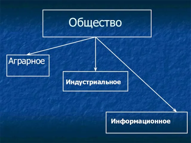 Общество Аграрное Индустриальное Информационное