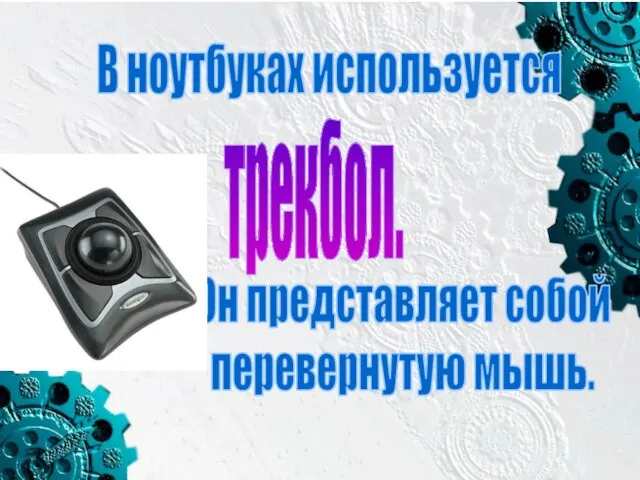 В ноутбуках используется трекбол. Он представляет собой перевернутую мышь.