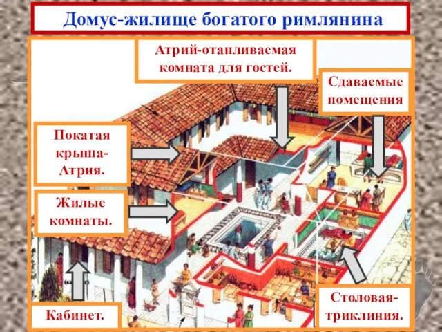 Домус-жилище богатого римлянина Кабинет. Жилые комнаты. Покатая крыша- Атрия. Атрий-отапливаемая комната для гостей. Сдаваемые помещения Столовая-триклиния.